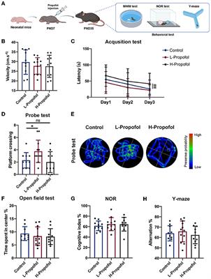 Enhanced hippocampal neurogenesis mediated by PGC-1α-activated OXPHOS after neonatal low-dose Propofol exposure